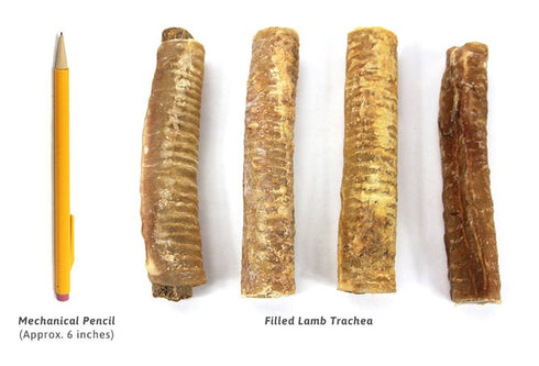 The Natural Dog Company Filled Lamb Trachea 4Ct - Poudre Pet and Feed Supply